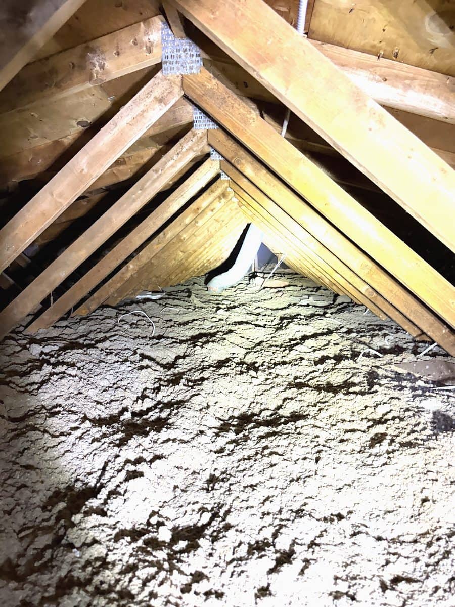 Isolant et charpente dans le comble, photographiés lors d’une inspection